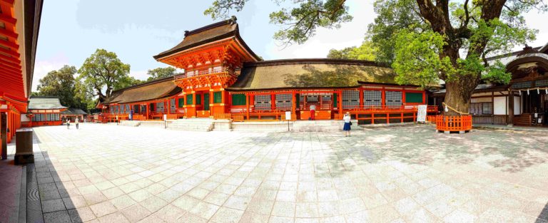 A panoramic view of the Usa Jingū's complex in a summer’s day. The tree on the right is considered sacred and said to be 800 years old and a popular local spiritual spot.