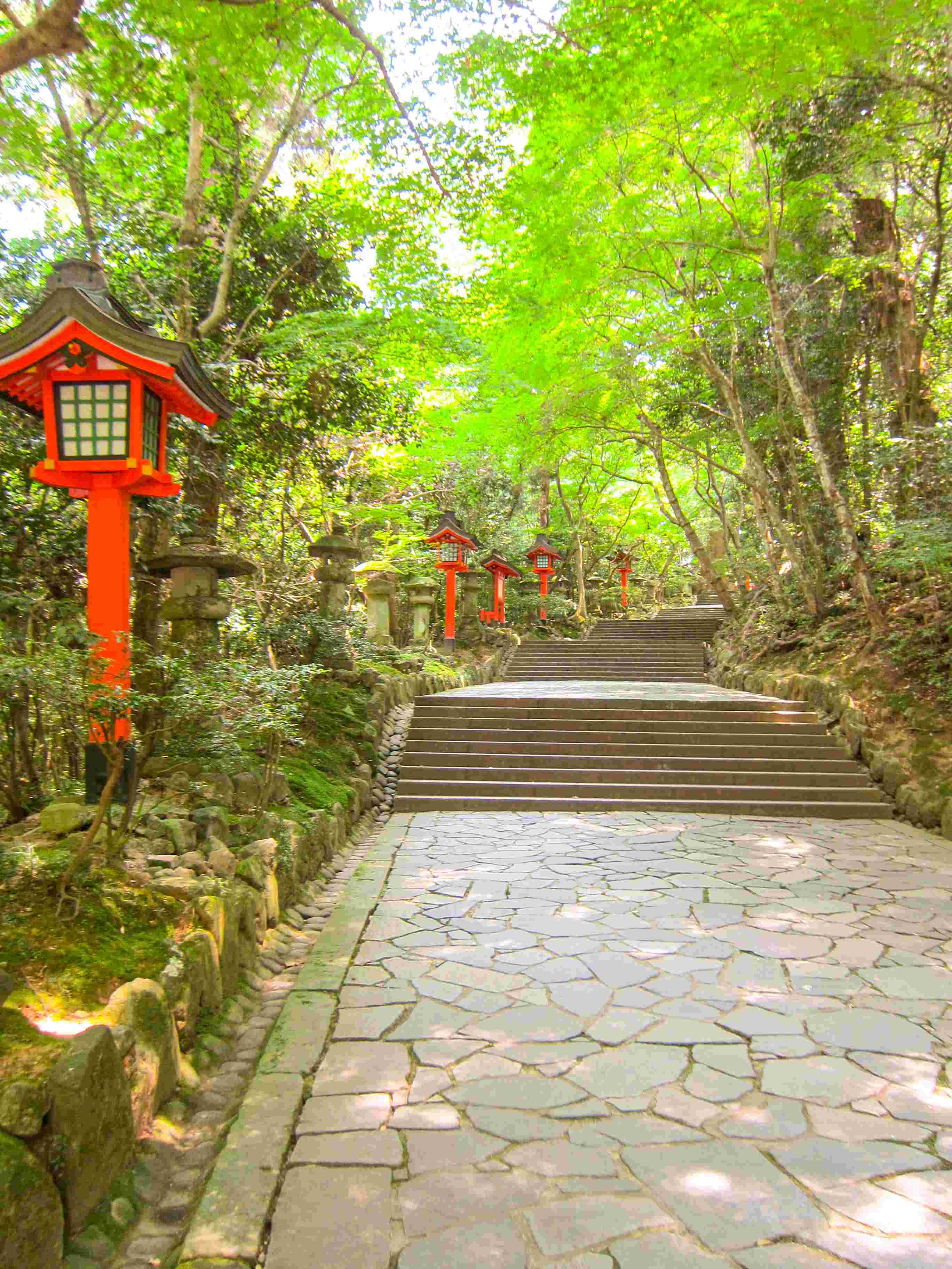 A scenic stairway to the main complex of Usa Jingū.