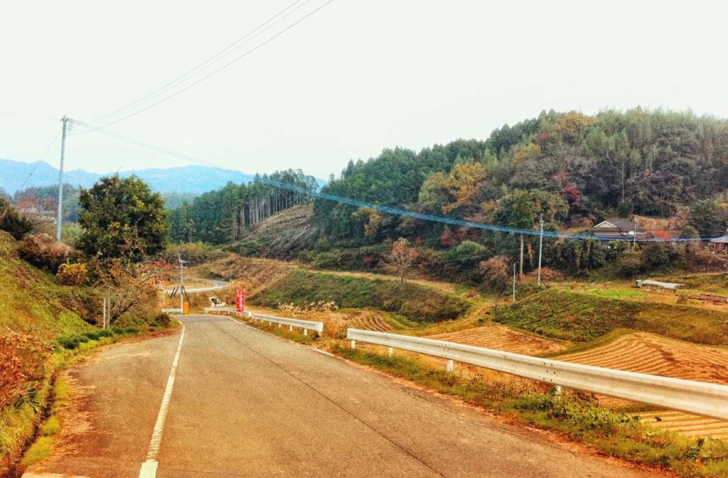 A road in Bungoono (autumn scenery)