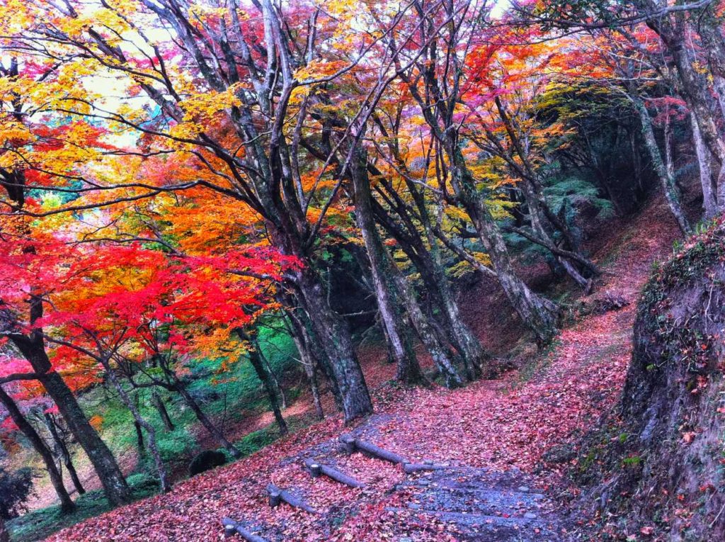 Autumn scenery in Japan