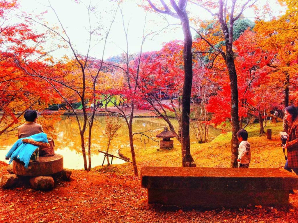 A scenery of a pond in autumn at Asaji, Bungoono
