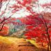 An autumn scenery in Bungoono