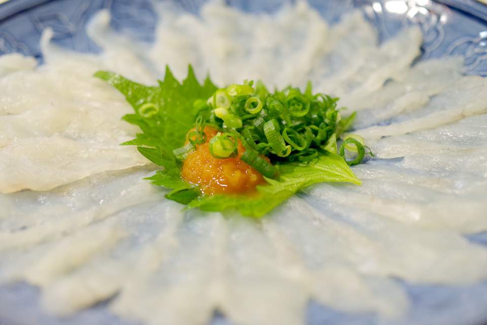 Fugu sashimi