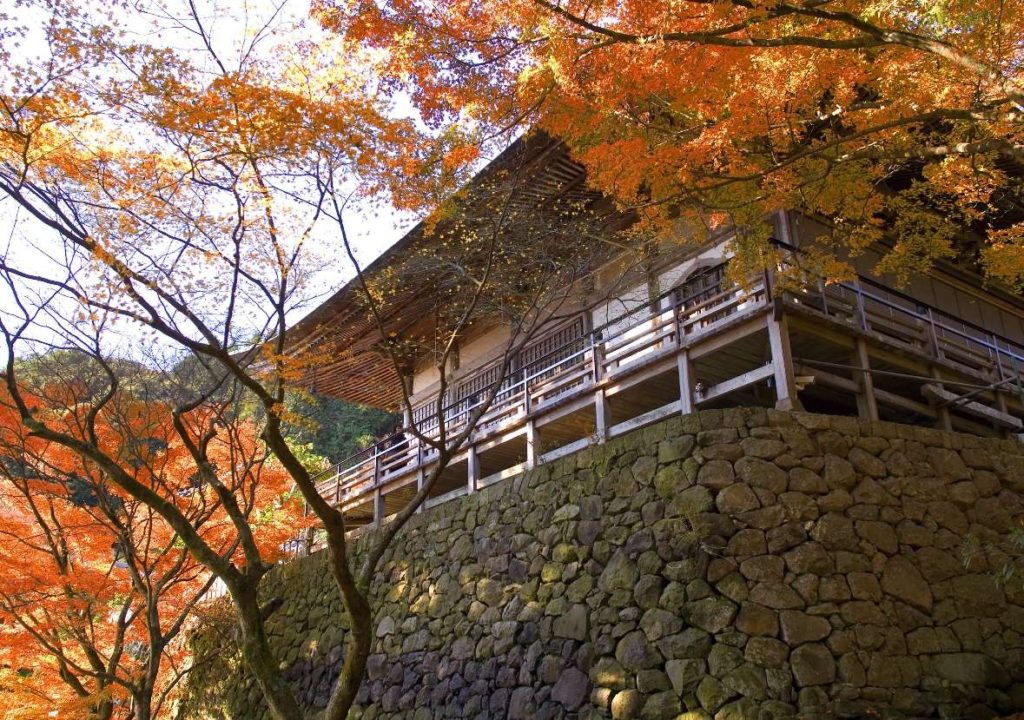 Futagoji autumn