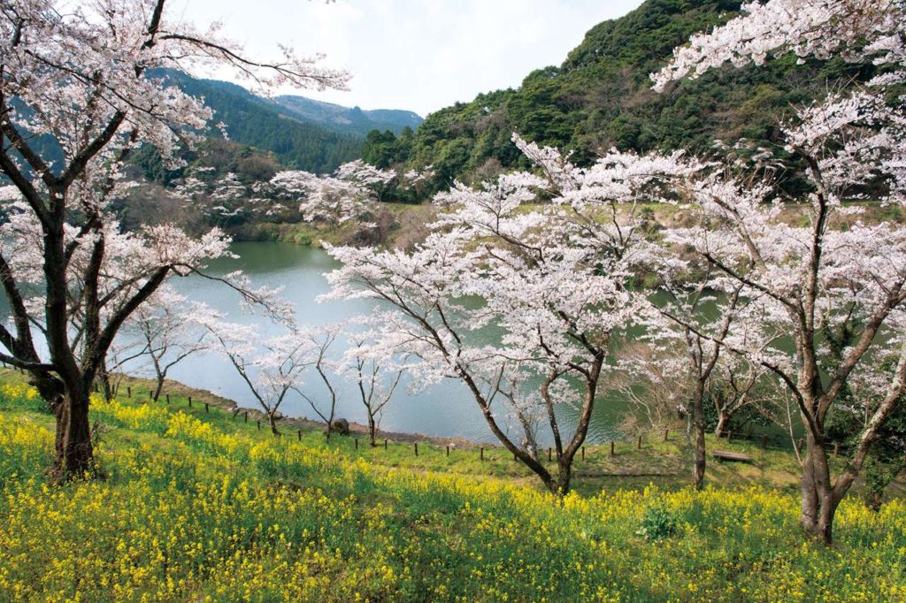 Aki Dam in Kunisaki