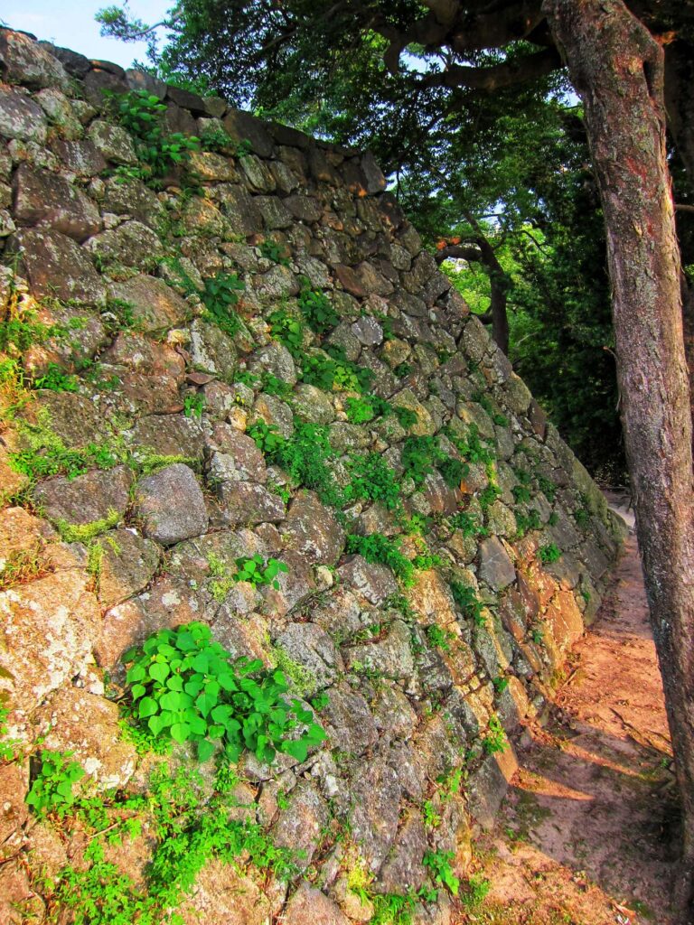 Castle stone walls