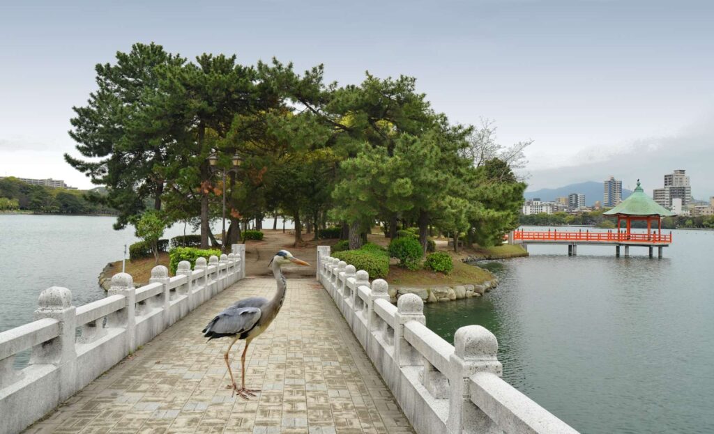 Ohori park bridge with a bird