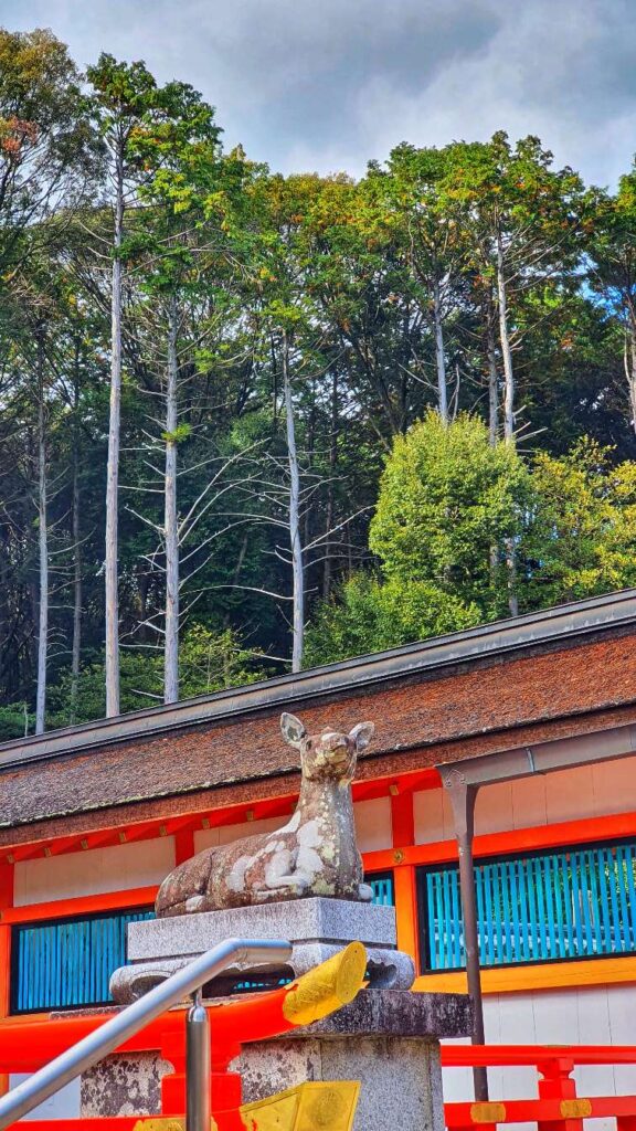 Oharano Shrine doe