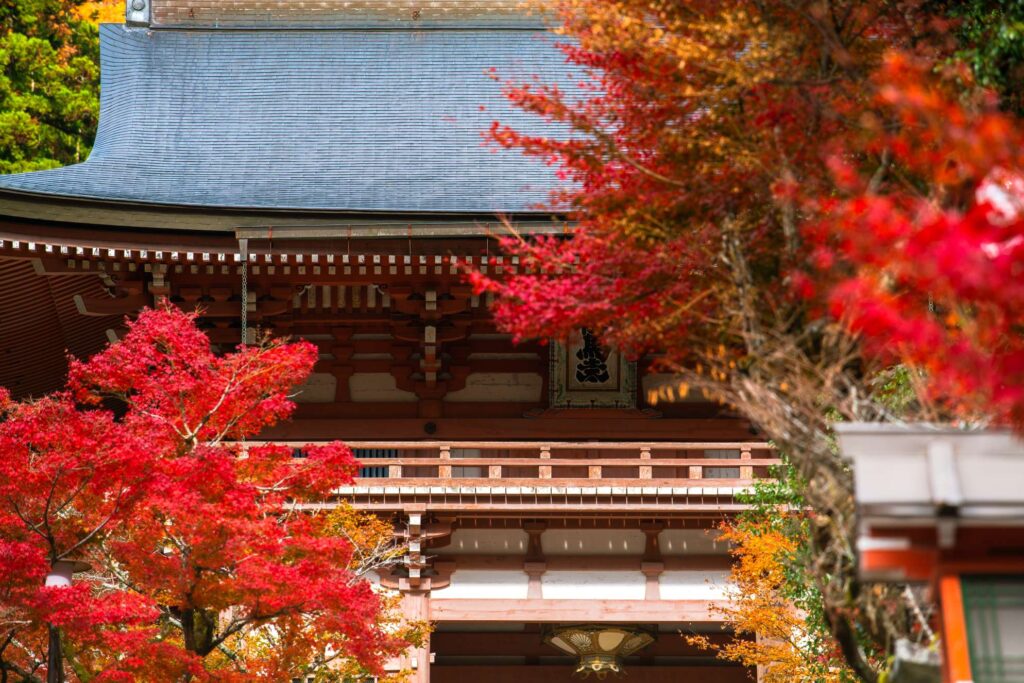 Kurama temple gate