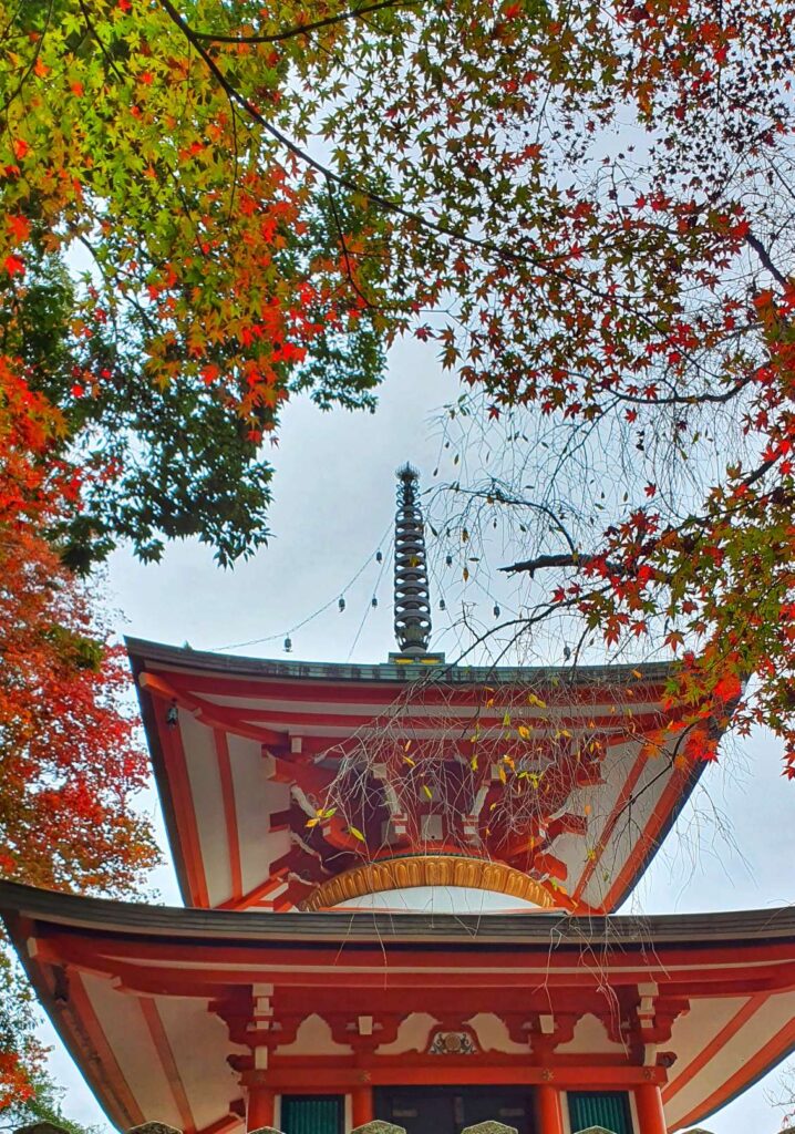 Kuramadera autumn