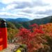 Kurama-dera mountain scenery