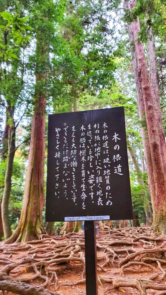 hiking day trip kyoto