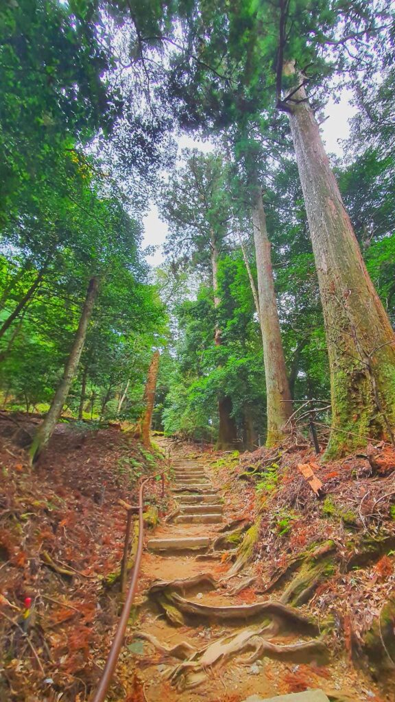 Kurama to Kibune hike path