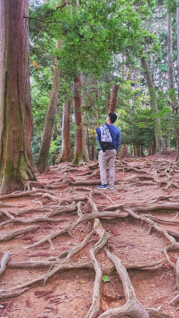 Ki-no-ne Michi forest 2