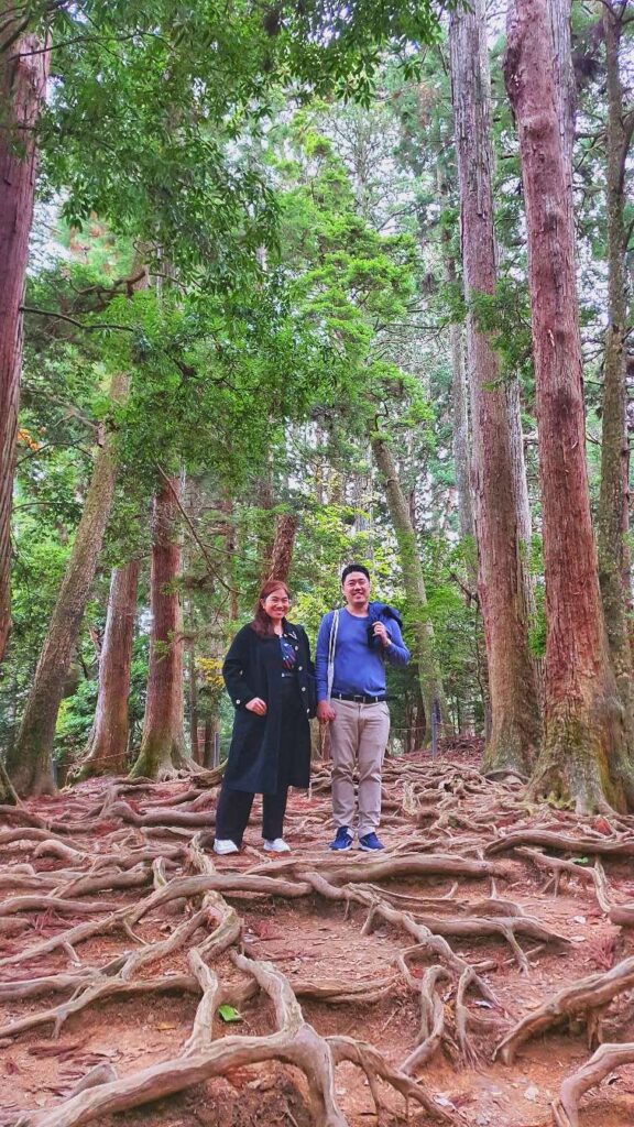 Ki-no-ne Michi forest 3