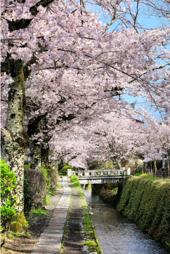 Philosopher's Path in Kyoto