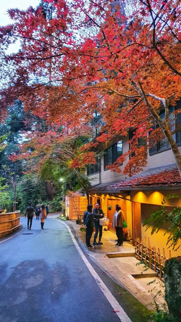 Kibune autumn 1