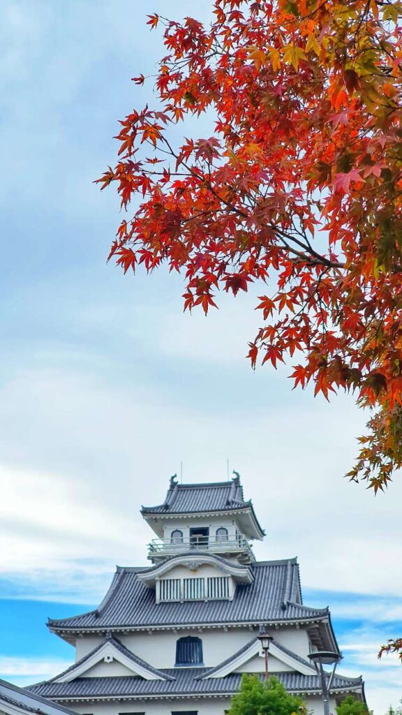 Kyoto daytrip Nagahama Castle