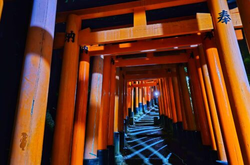 Kyoto Free Activity Fushimi Inari Taisha 2