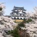 Hikone Castle spring