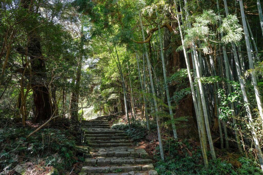 Daimonzaka route