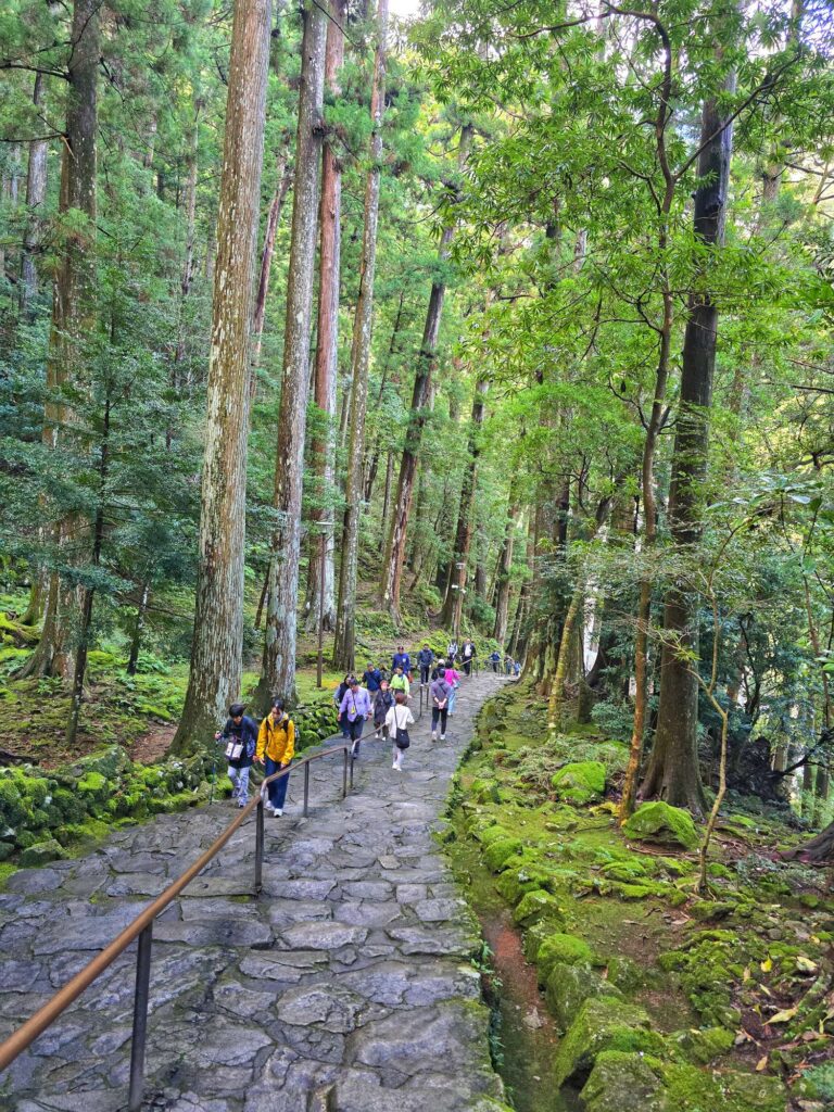 Nachi Falls
