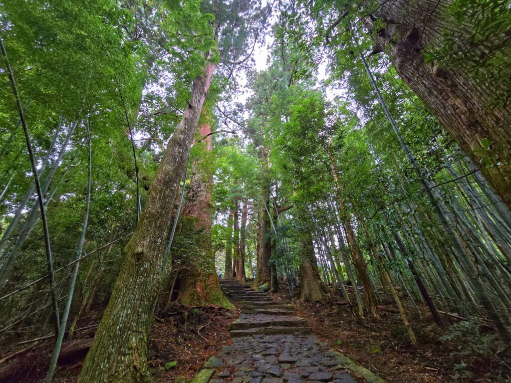 Daimonzaka route