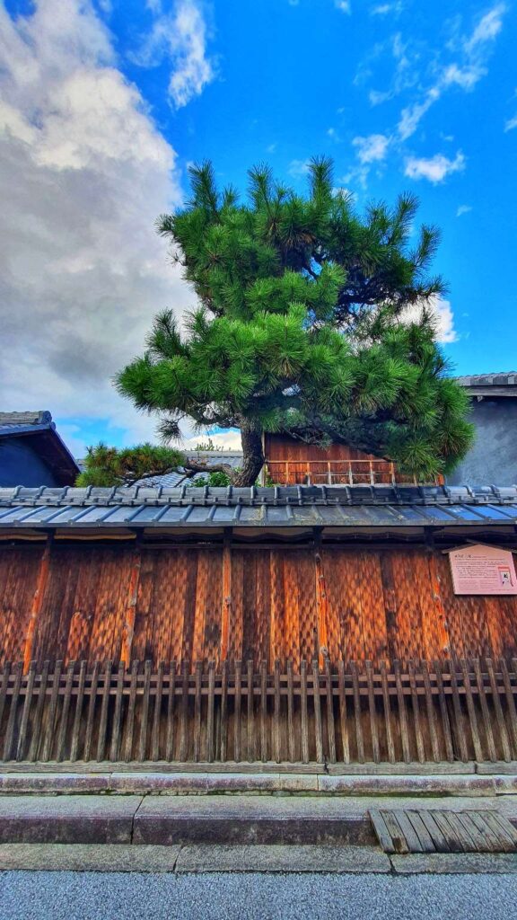 Omihachiman town