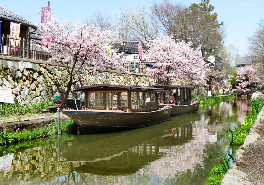 Omihachiman spring