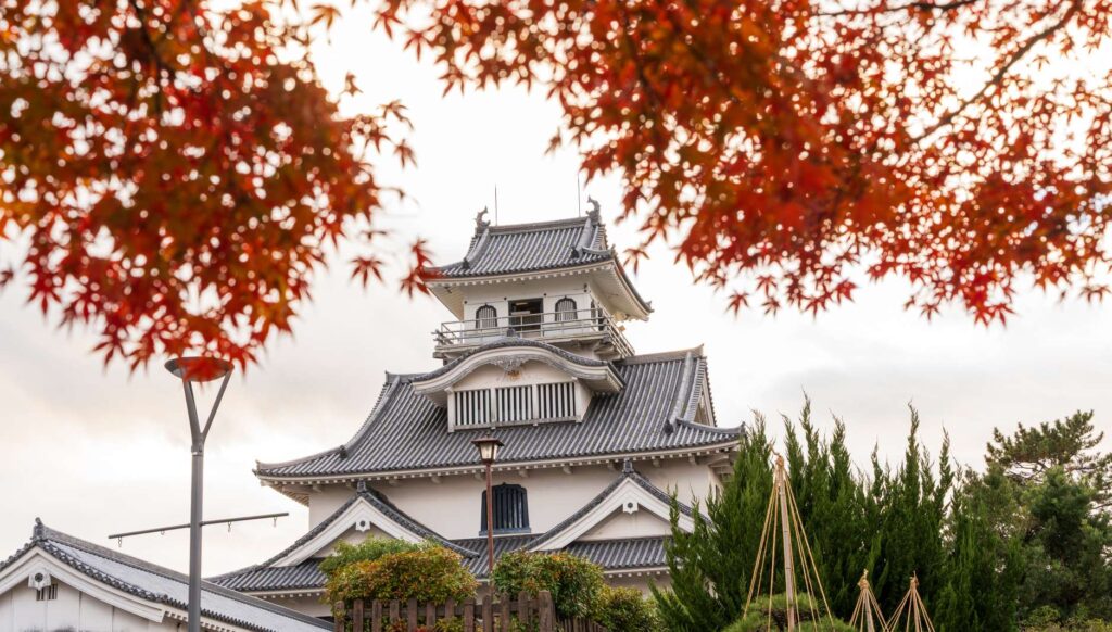 Nagahama Castle