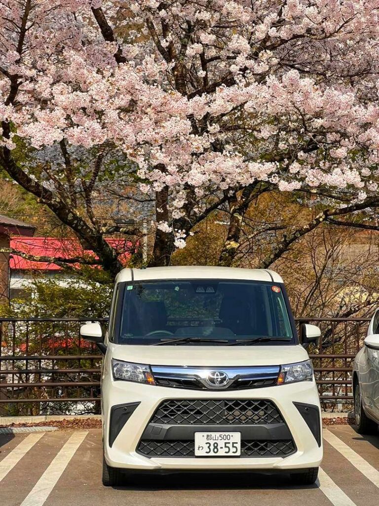 Car rental spring
